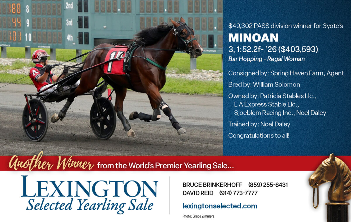 Can T C I become the richest 2-year-old in the sport? - Harness