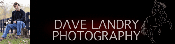 Dave Landry